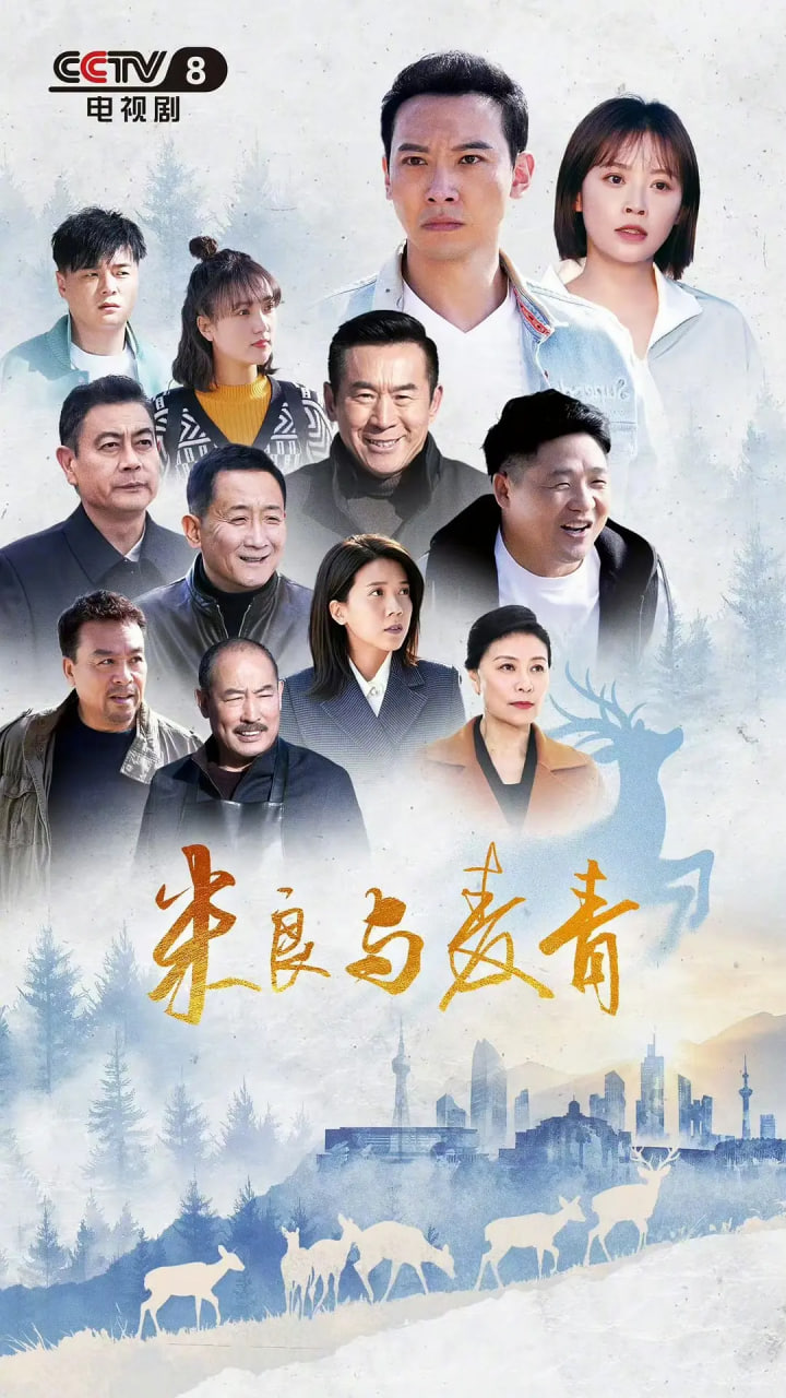 啦啦啦高清视频